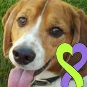 Meet your Posher, Robbin